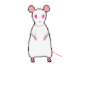 mousey36dr.gif